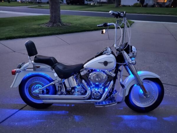 2004 Harley-Davidson Flstfi – Strickland Golf Carts