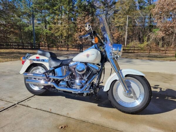 2000 Harley-Davidson FAT BOY – Strickland Golf Carts